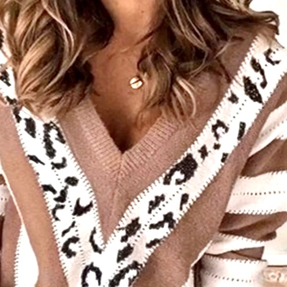 🐾ANIMAL PRINT GEO PATTERN V NECK SWEATER. BROWN, CREAM AND BLACK. NEW - Picture 3 of 5
